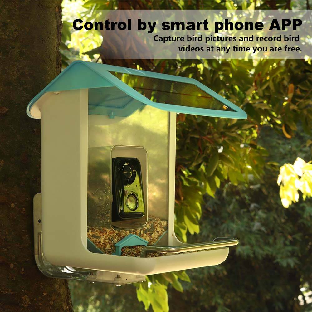 STLF야외 야생동물 와이파이 카메라 사진 촬영 비디오 - Smart Garden Video 리뷰 및 가격