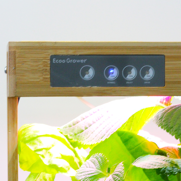 대나무 자연 8포드 홈 수경 재배 시스템 모던 전자 실 - Smart Pod Garden 리뷰 및 가격
