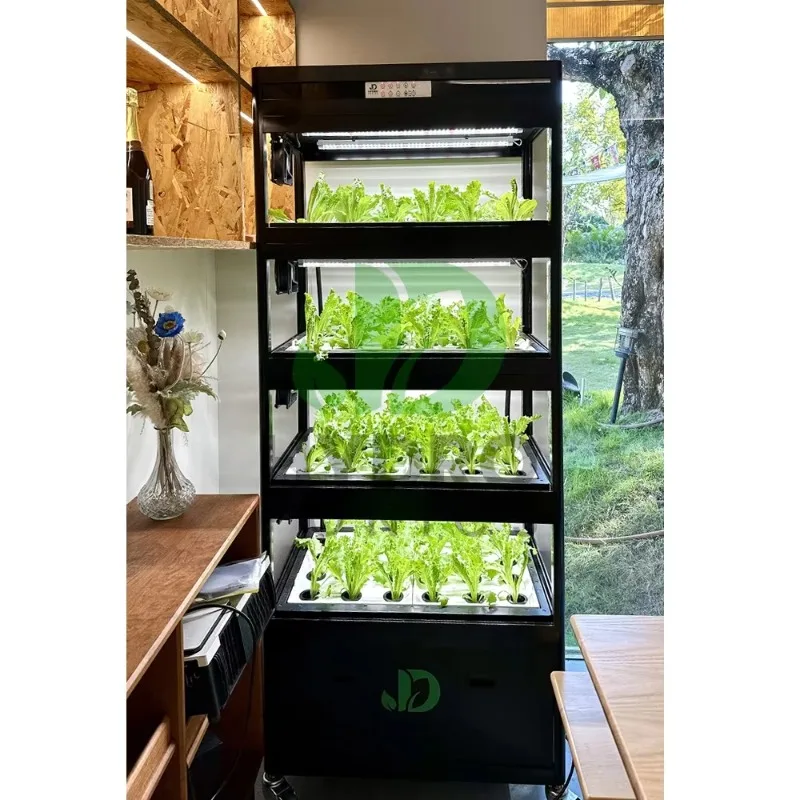 108 홀 수경 캐비닛 성장 키트 가정용 식물을 위한  - Aquaponics Home Kit 리뷰 및 가격