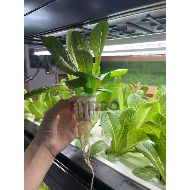 108 홀 수경 캐비닛 성장 키트 가정용 식물을 위한  - Aquaponics Home Kit 리뷰 및 가격