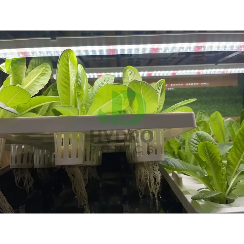 108 홀 수경 캐비닛 성장 키트 가정용 식물을 위한  - Aquaponics Home Kit 리뷰 및 가격