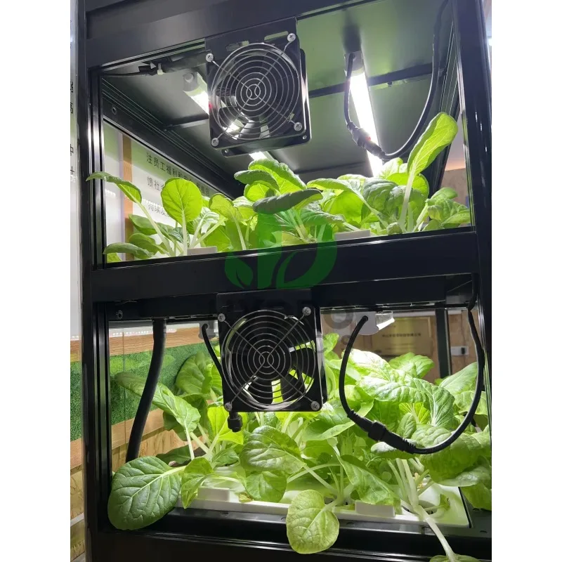 108 홀 수경 캐비닛 성장 키트 가정용 식물을 위한  - Aquaponics Home Kit 리뷰 및 가격