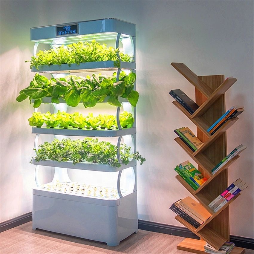 실내 가정용 스마트 허브 가든 지능형 마이크로그린 아쿠 - Aquaponics Home Kit 리뷰 및 가격