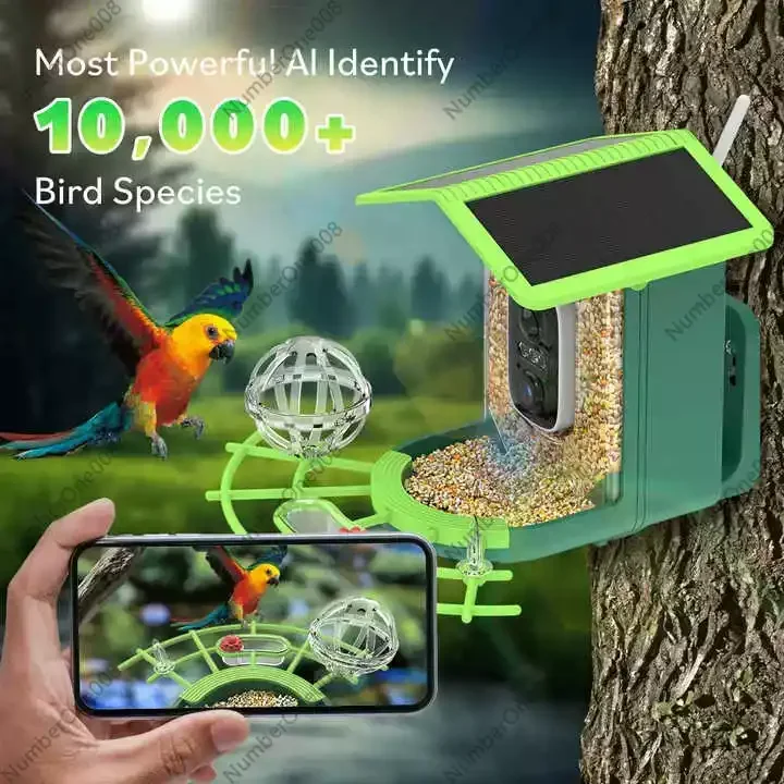 AI 종 식별 기능이 있는 스마트 새 모이통 카메라,  - Smart Garden Video 리뷰 및 가격