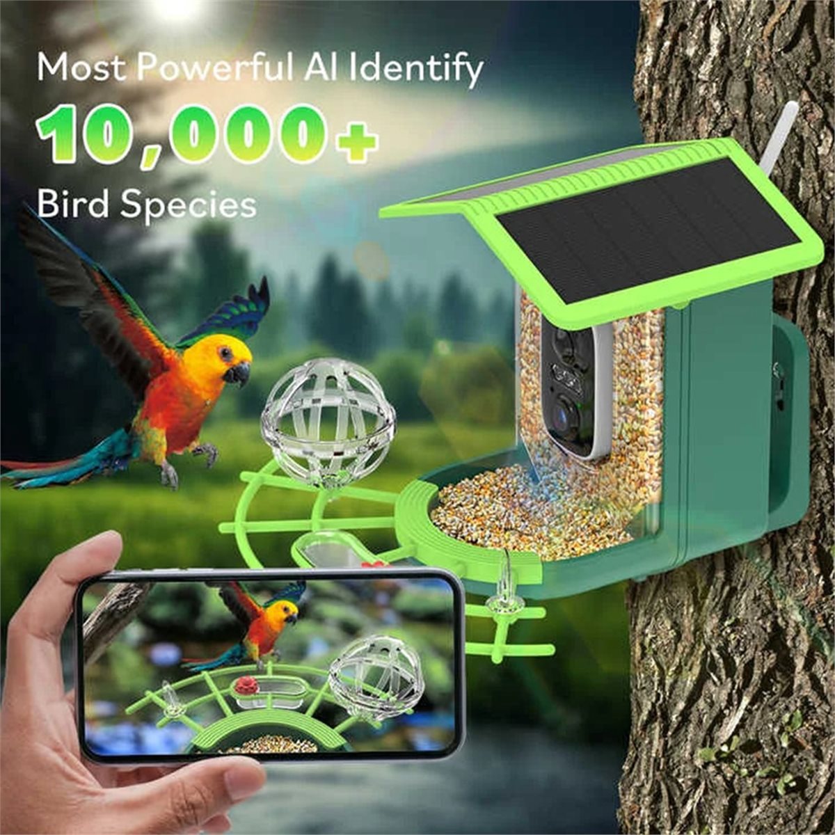 AI 종 식별 기능이 있는 ABPP 스마트 새 모이통  - Smart Garden Video 리뷰 및 가격