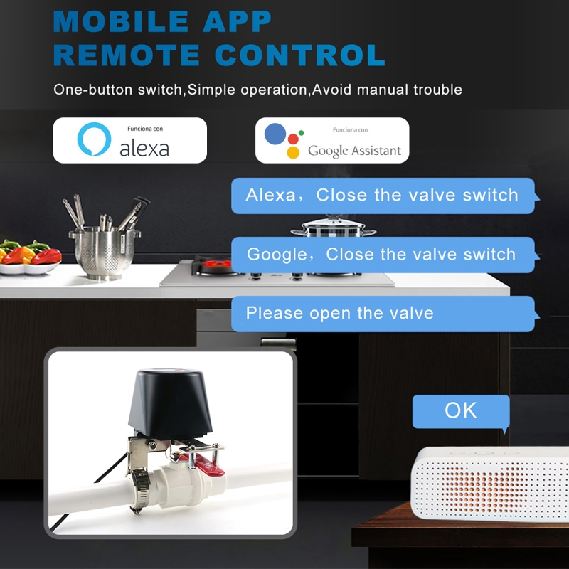 투야 스마트 가스 밸브 WIFI 정원 물 차단 타이머  - Smart Garden Water Timer 리뷰 및 가격