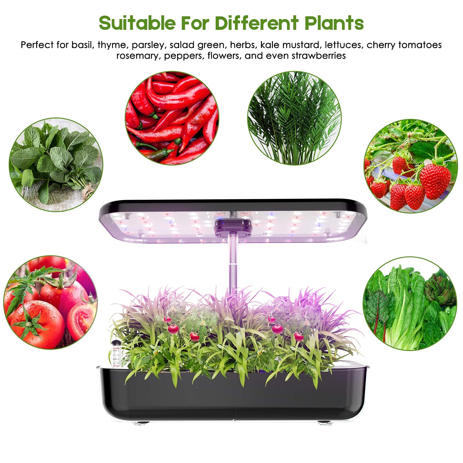 수경 재배 시스템 LED 성장 조명 포함 실내 허브 정 - Smart Pod Garden 리뷰 및 가격
